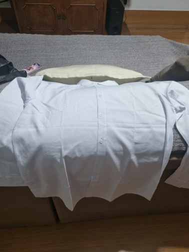 Men's Casual and Fashionable Long Sleeved Solid Color Shirt Non Ironing and Wrinkle Resistant Business Top photo review