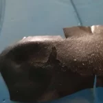 Deep Pore Blackhead Removal Nose Strips photo review